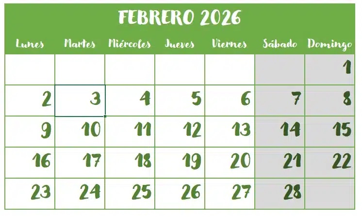 Chequeo Febrero