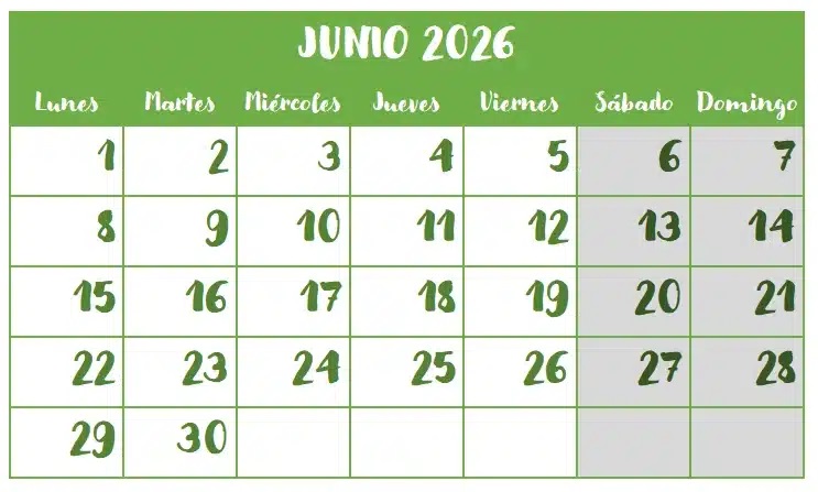 Chequeo Junio