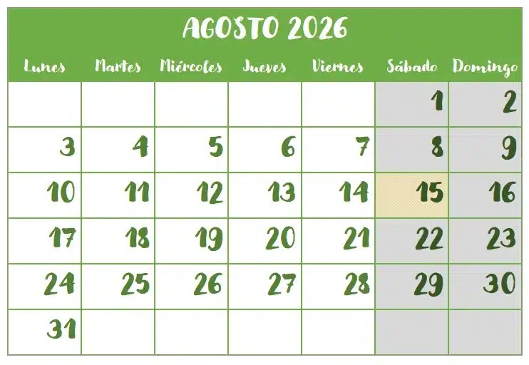 Chequeo Agosto